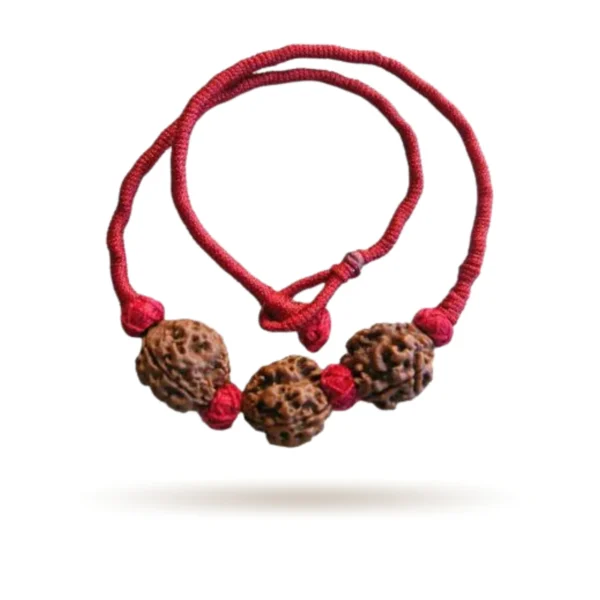 Vidya Vriddhi Mala / Bracelet - 4 Mukhi and 5 Mukhi Rudraksha