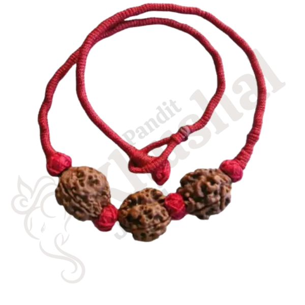 Vidya Vriddhi Mala / Bracelet - 4 Mukhi and 5 Mukhi Rudraksha